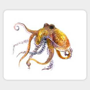 Octopus, Yellow Orange home decor Sticker